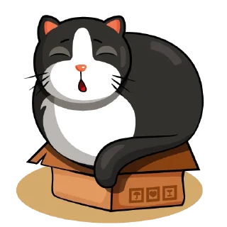😴