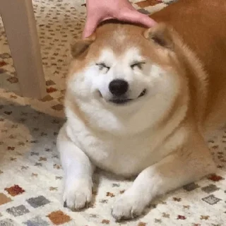😊
