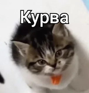 😠