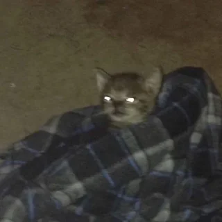 🥲