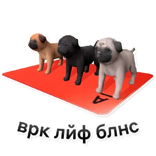 🐕