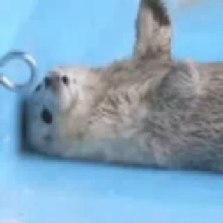😋