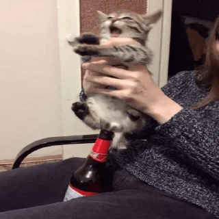🍾
