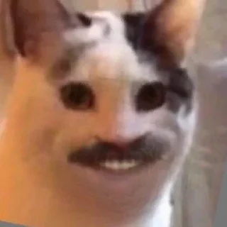 😃
