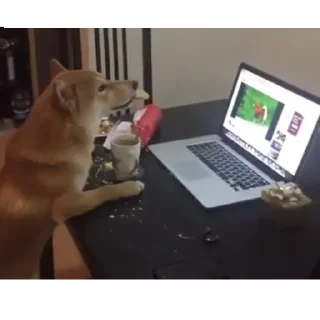 💻