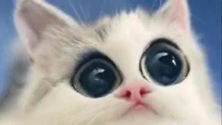 🥺