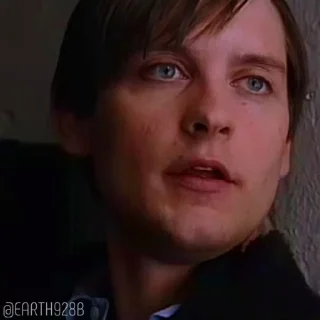 🕷