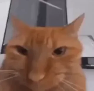 😐
