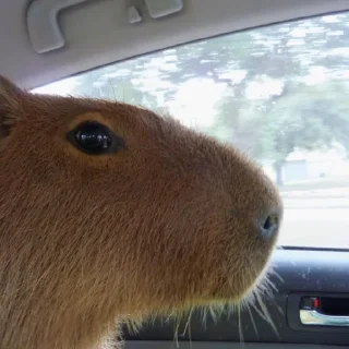 🙂
