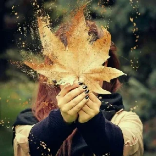 🍁