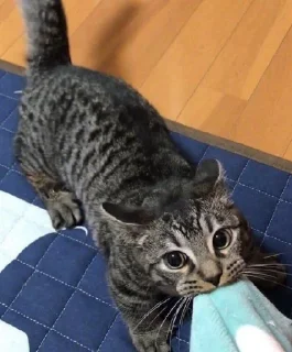 😍
