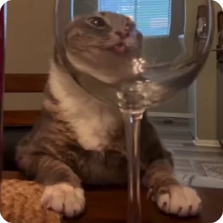 🍷