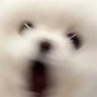 😲
