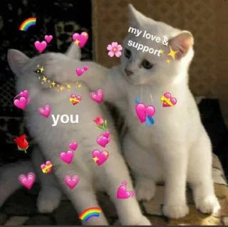 💞