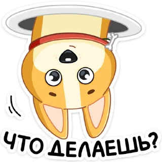 ❓
