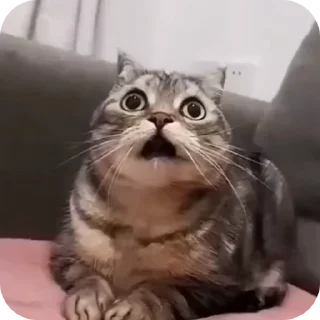 😧