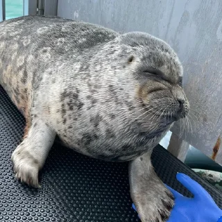 😩
