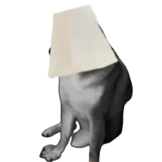 💡