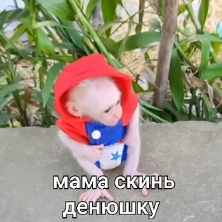 🐵