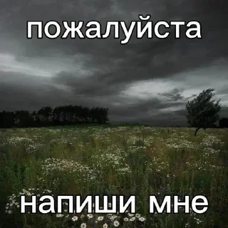 🧂