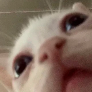 😐