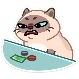 💰