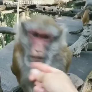😁