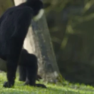 🤗