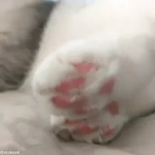 😝