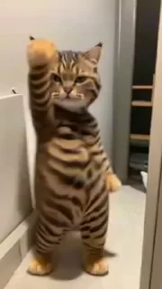 😏