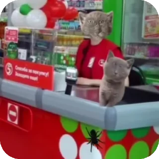 👍