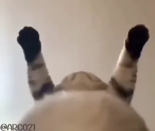 🕺
