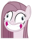 🦄