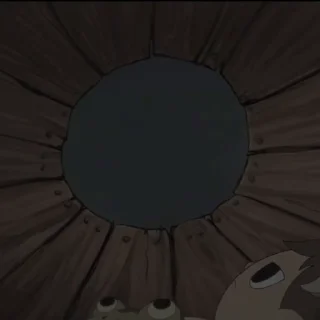 👀