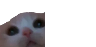 🥺