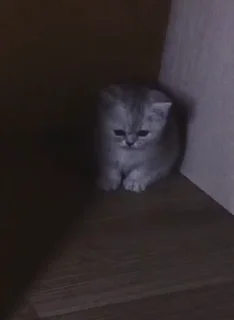 😓