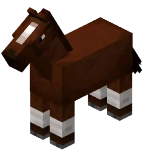 🐴