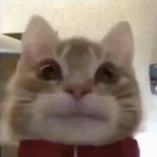 😐