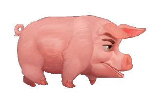 🐖