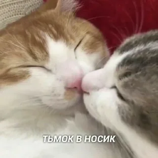 ❤️