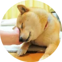 💤
