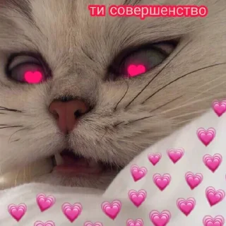 ❤️