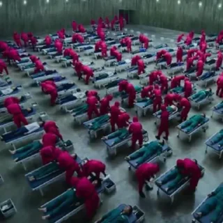 🦑