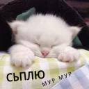 😴