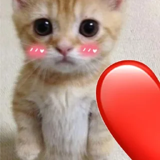 ❤️
