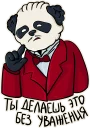 🐼