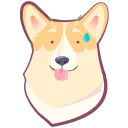 🐶