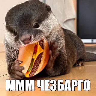 🍔