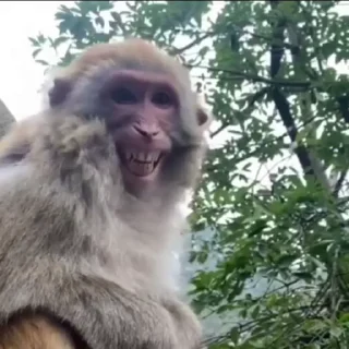 😁