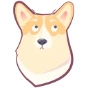🐶